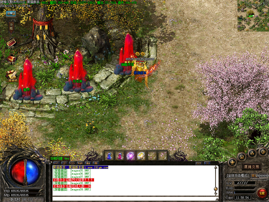 Images10.BMP