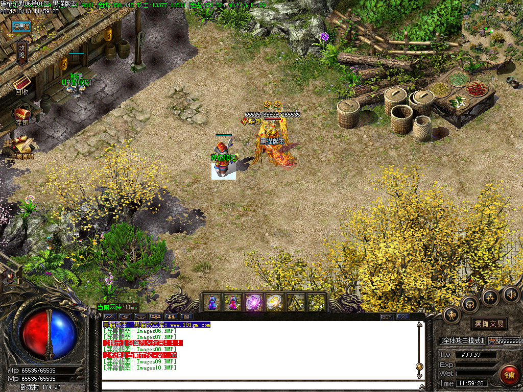 Images11.BMP