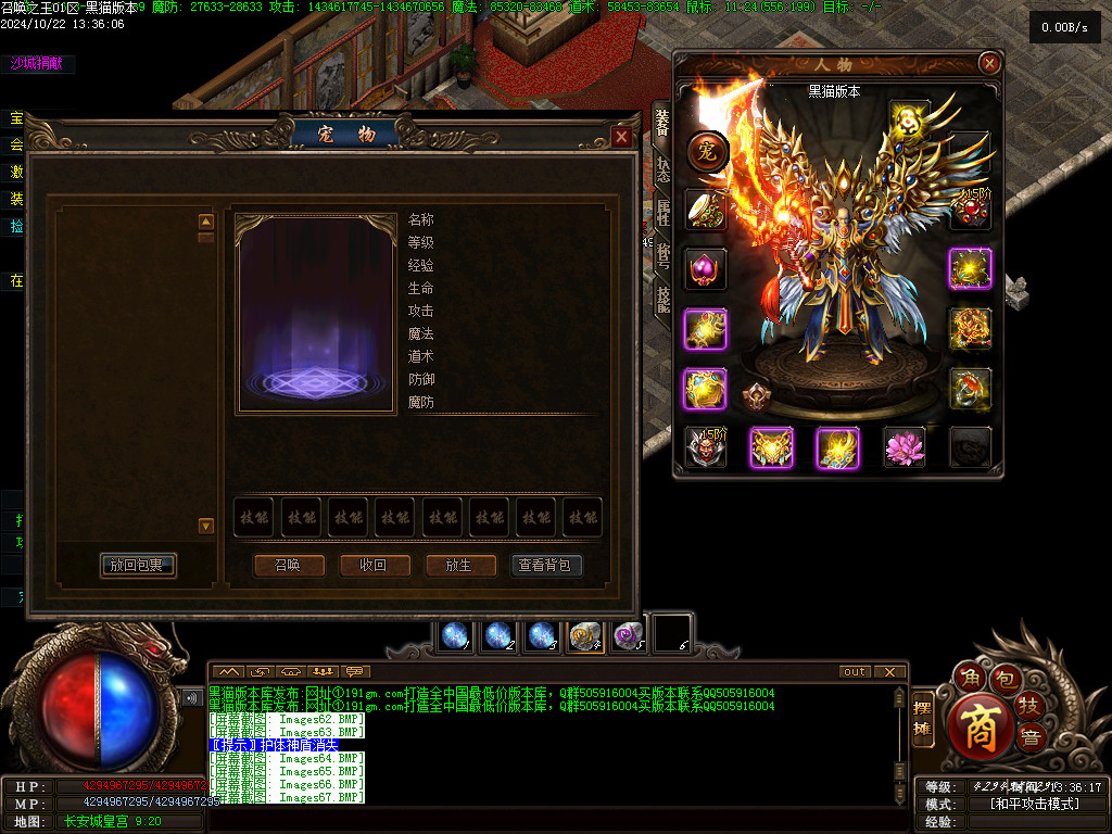 Images68.BMP