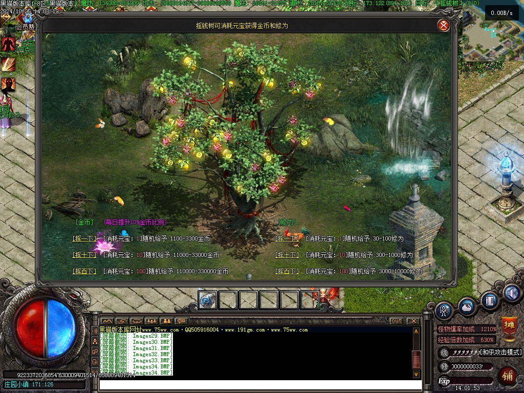 Images35.BMP