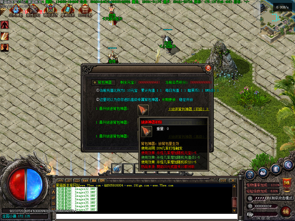 Images38.BMP