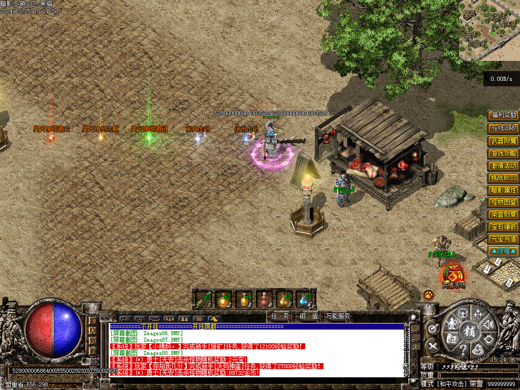 Images89.BMP