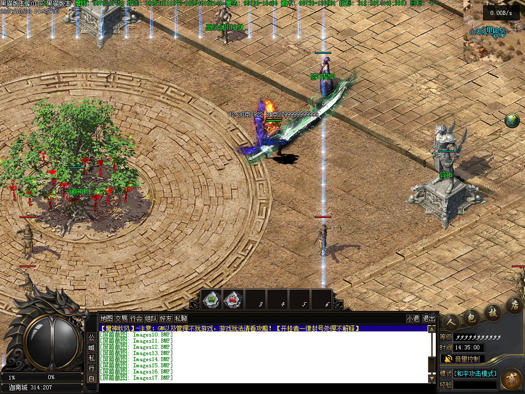 Images18.BMP