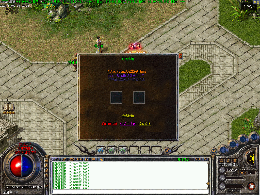 Images48.BMP