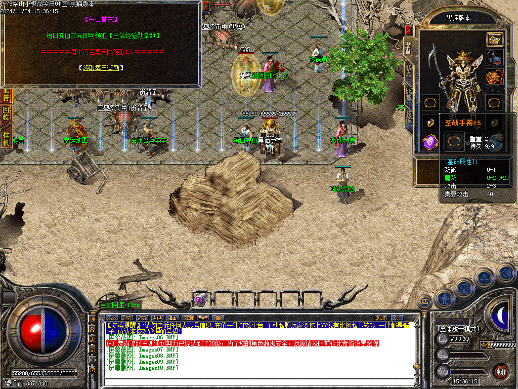 Images11.BMP