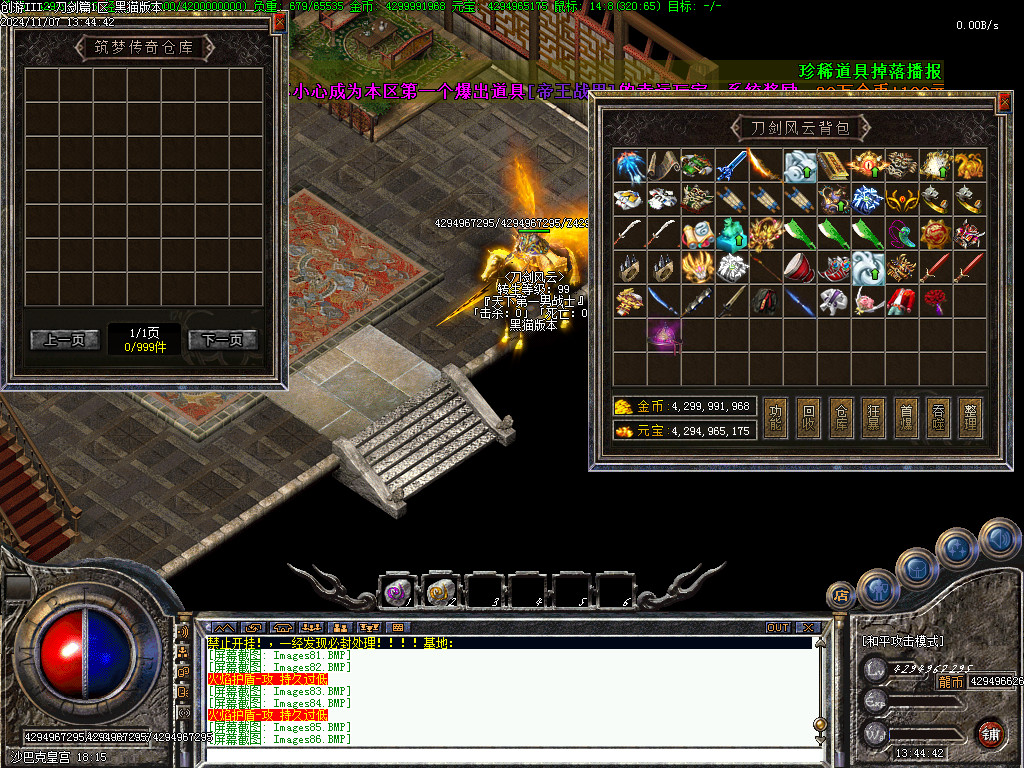 Images87.BMP