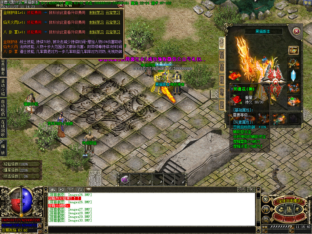 Images31.BMP