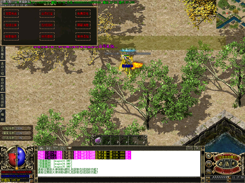 Images36.BMP