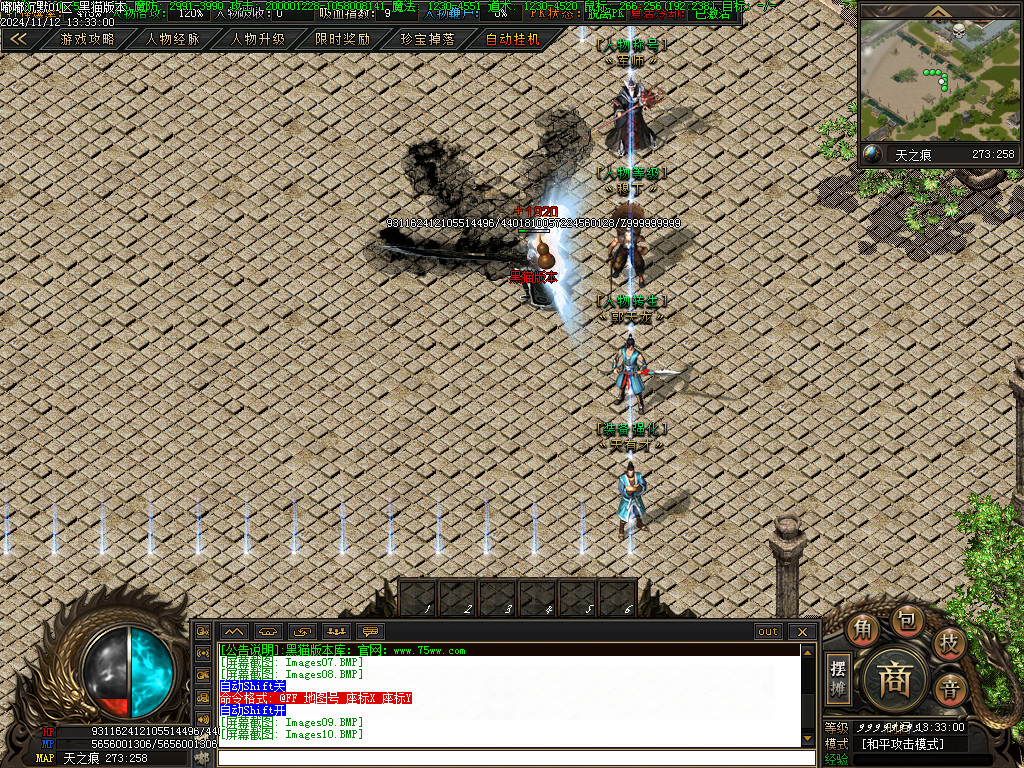 Images11.BMP