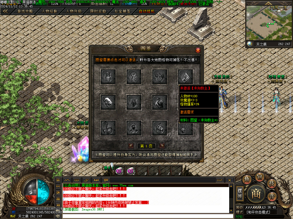 Images39.BMP
