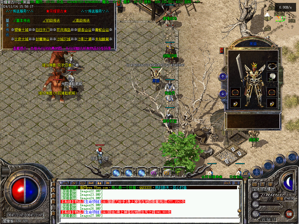 Images29.BMP