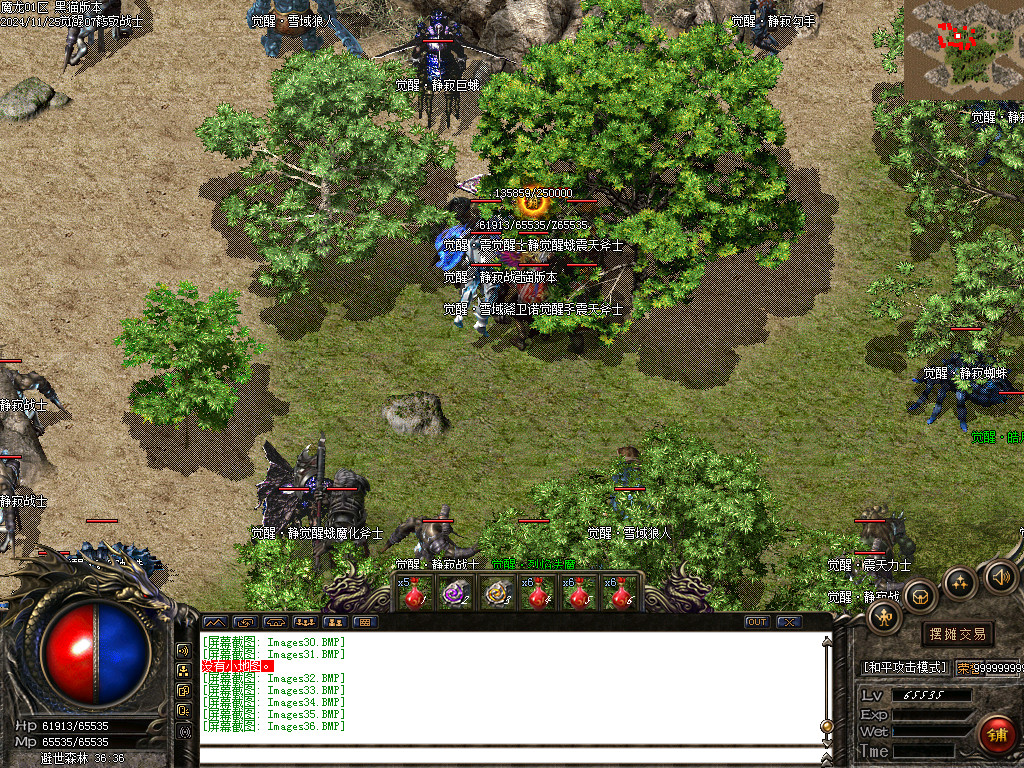 Images37.BMP