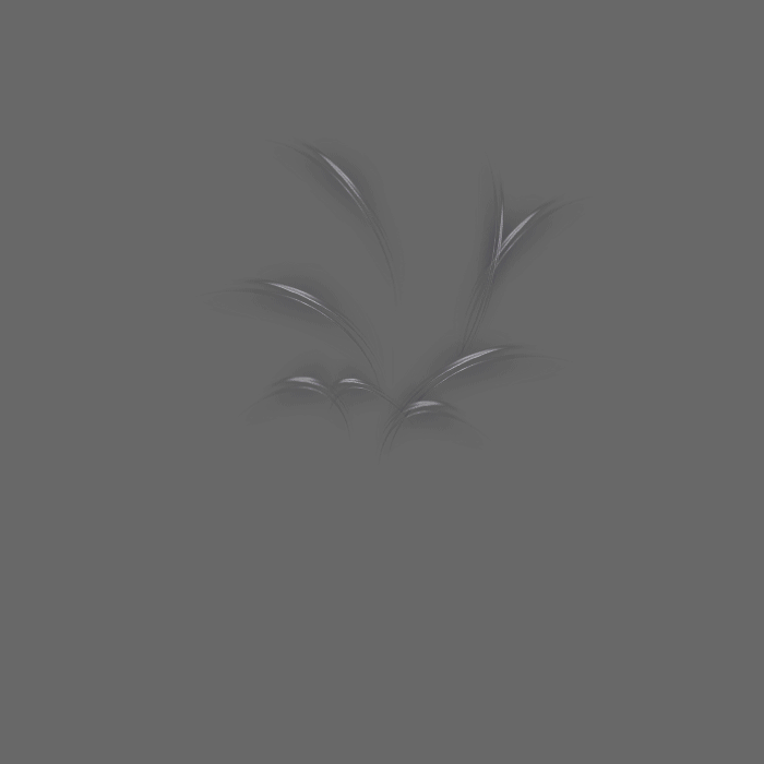6.gif