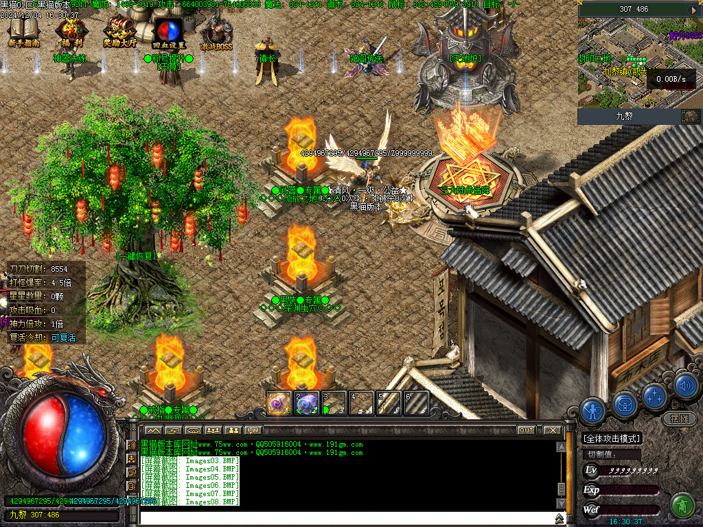 Images11.BMP