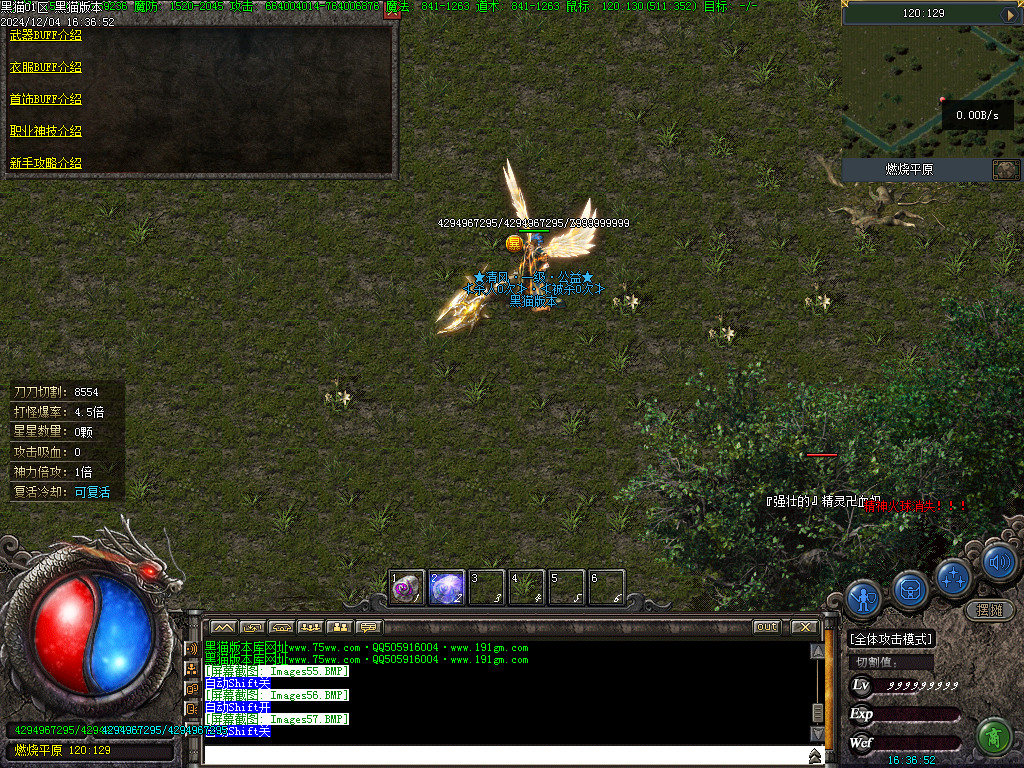 Images59.BMP