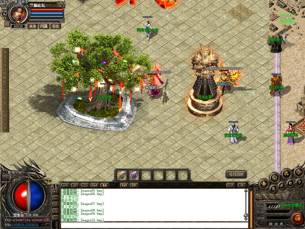 Images11.bmp