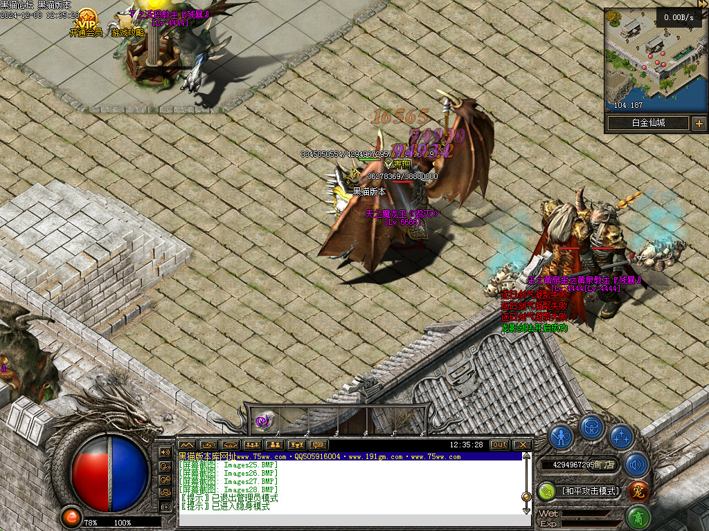 Images29.BMP