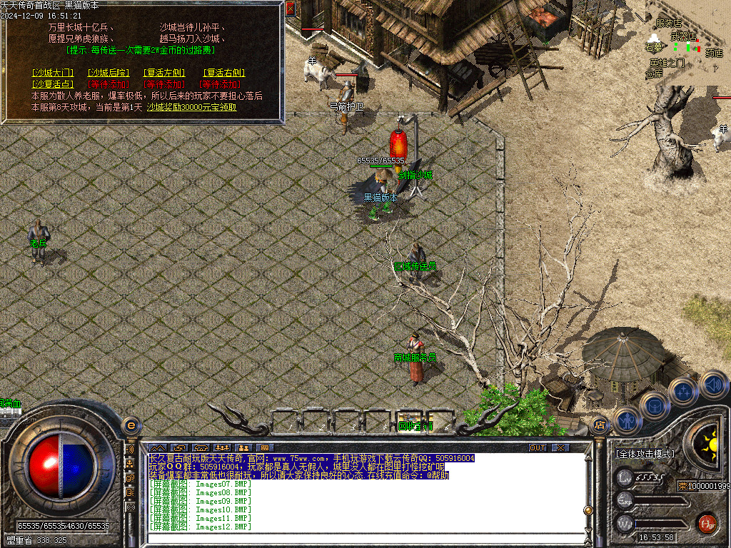 Images13.BMP