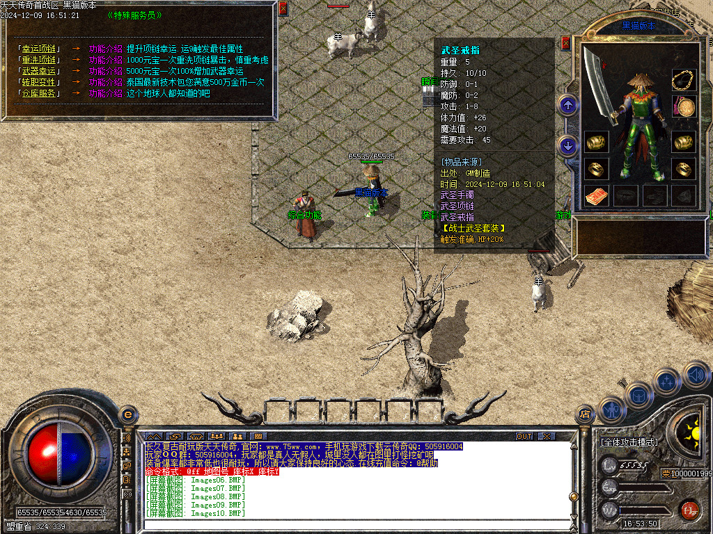 Images11.BMP