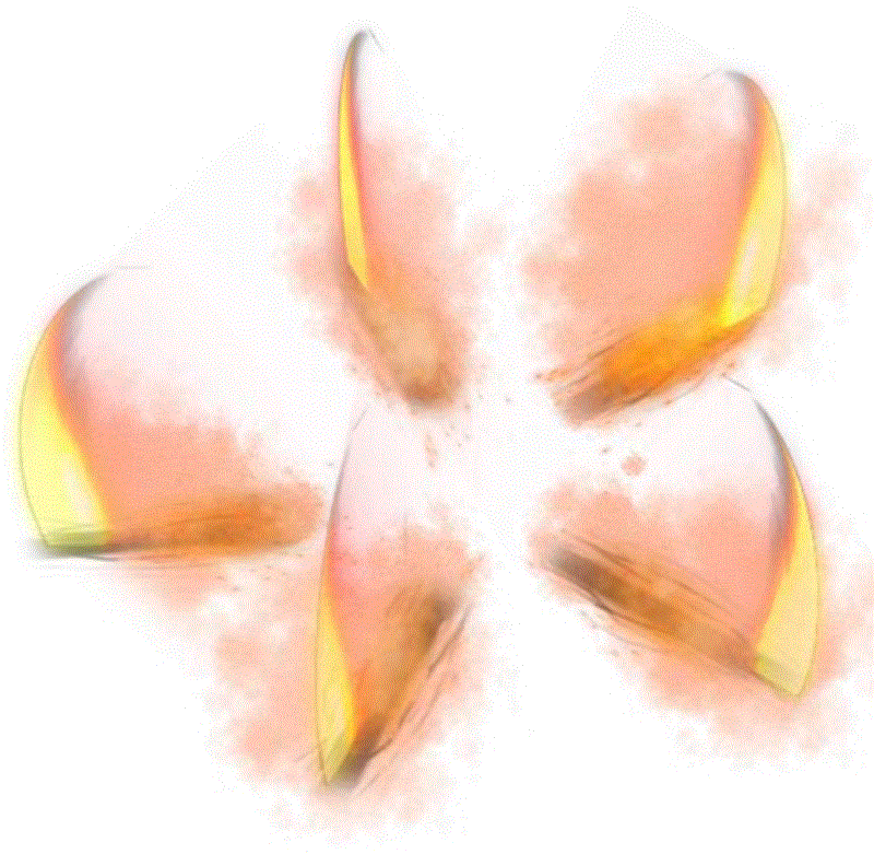 1.gif