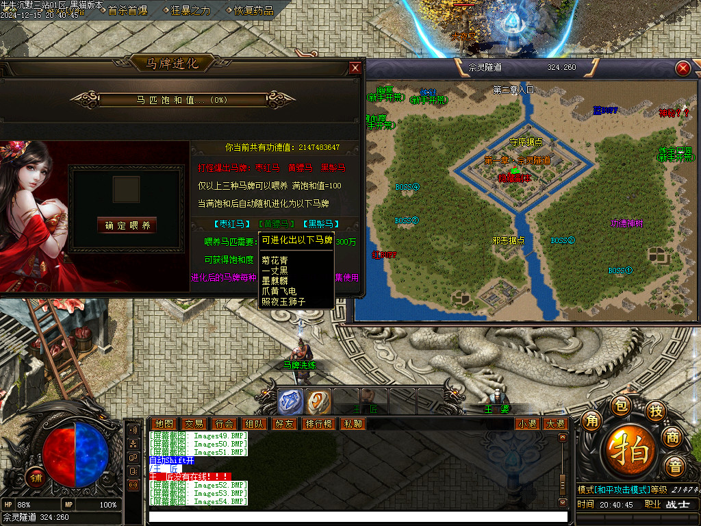 Images55.BMP