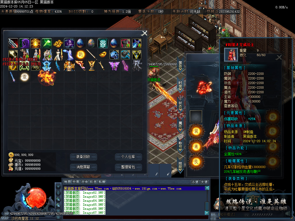 Images68.BMP