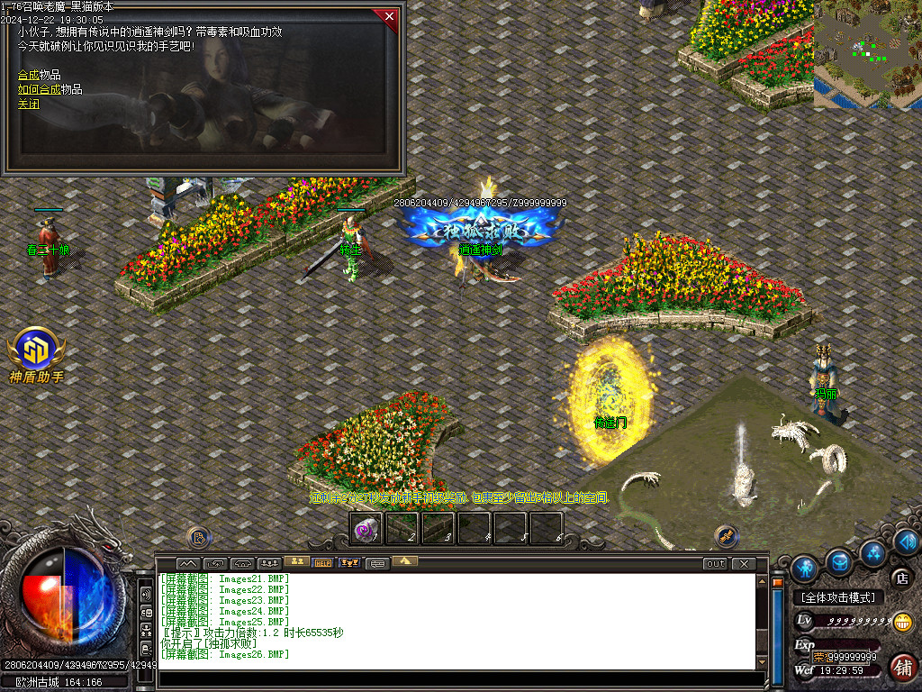 Images27.BMP