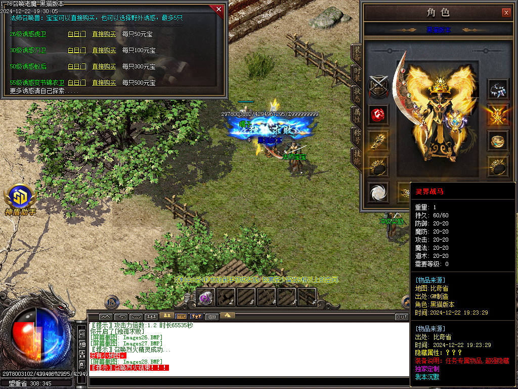 Images29.BMP