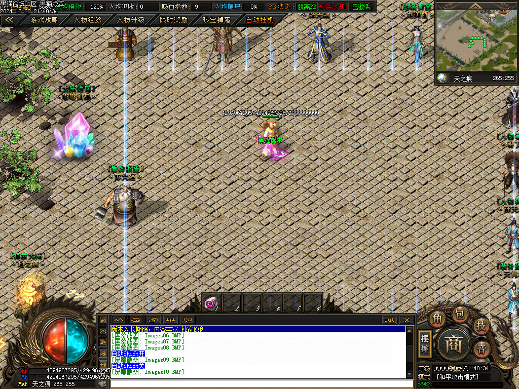Images11.BMP