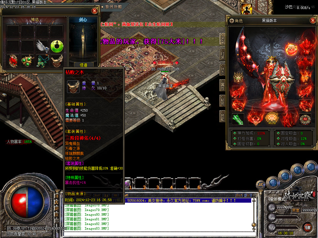 Images84.BMP