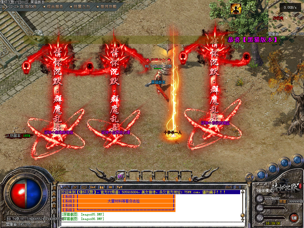 Images87.BMP
