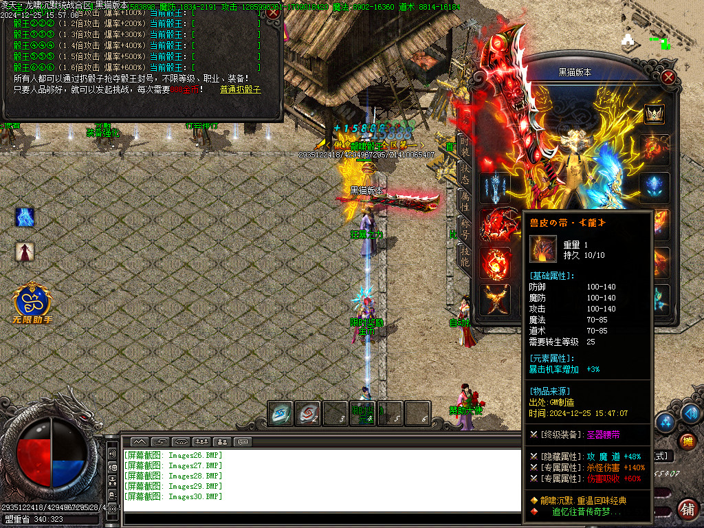 Images31.BMP