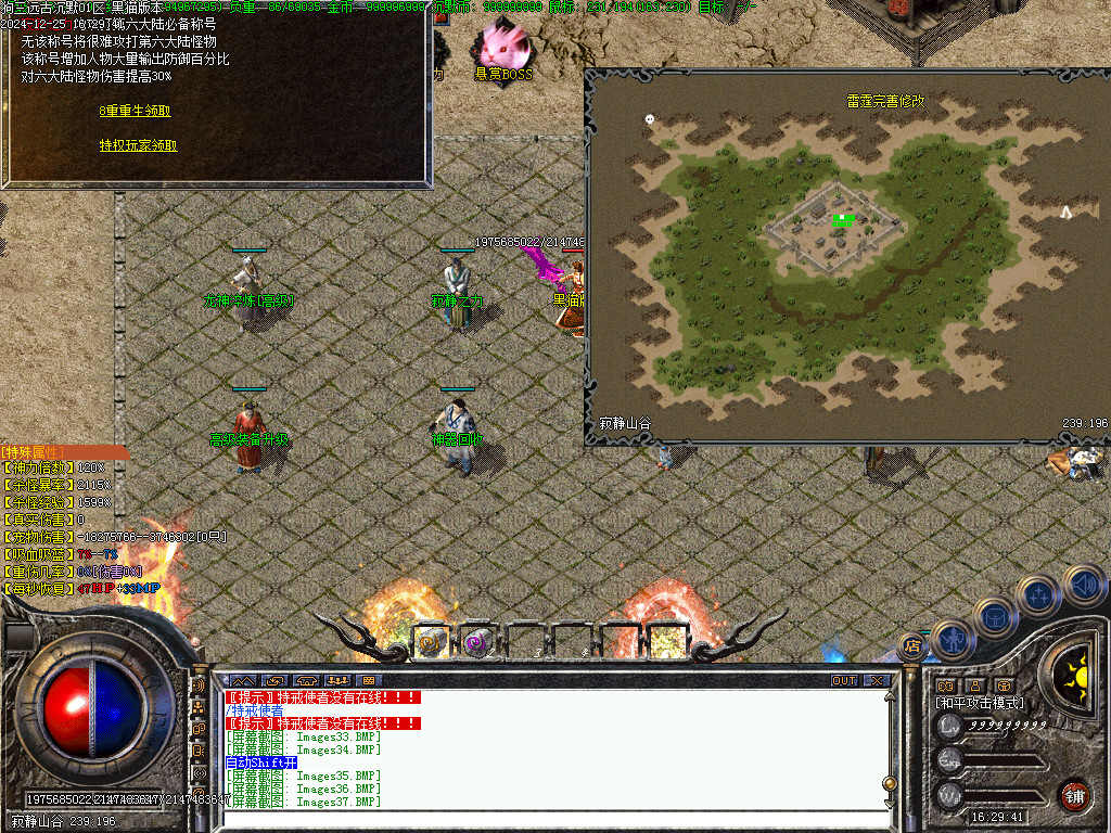 Images38.BMP
