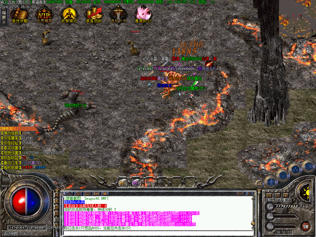 Images47.BMP