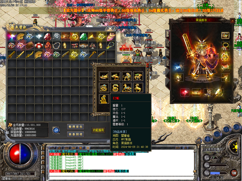 Images66.BMP