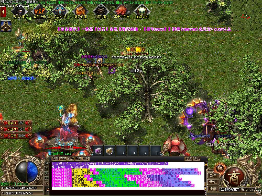 Images39.BMP