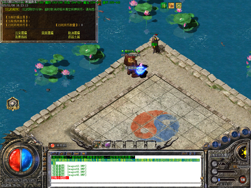 Images47.BMP