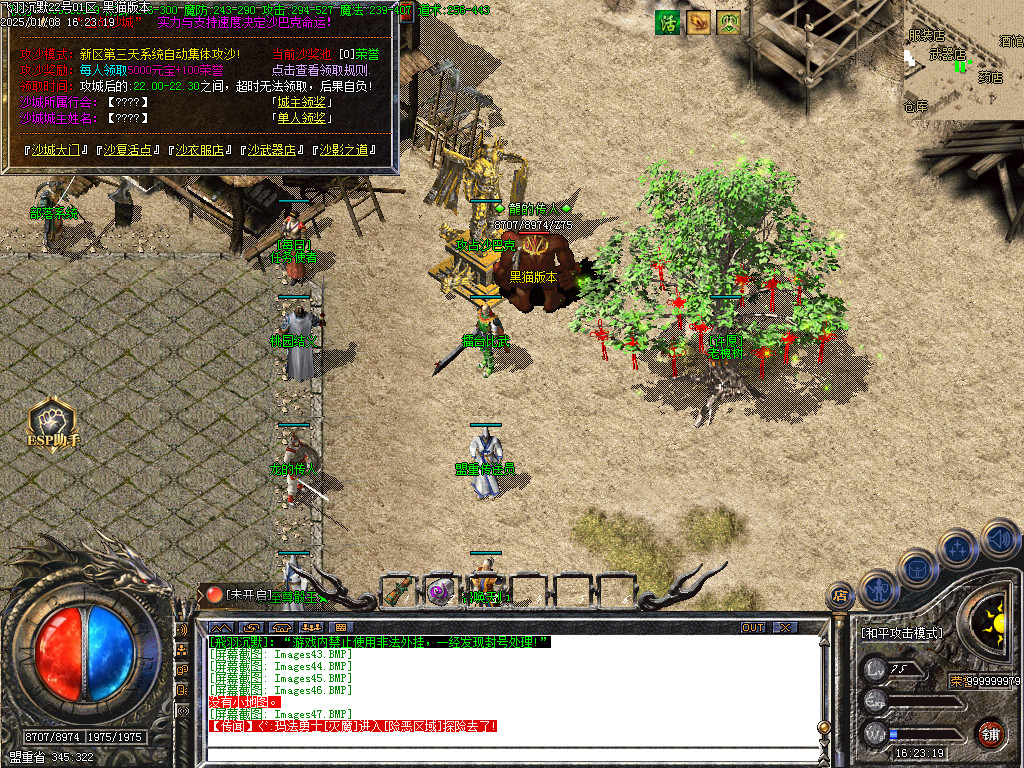 Images48.BMP