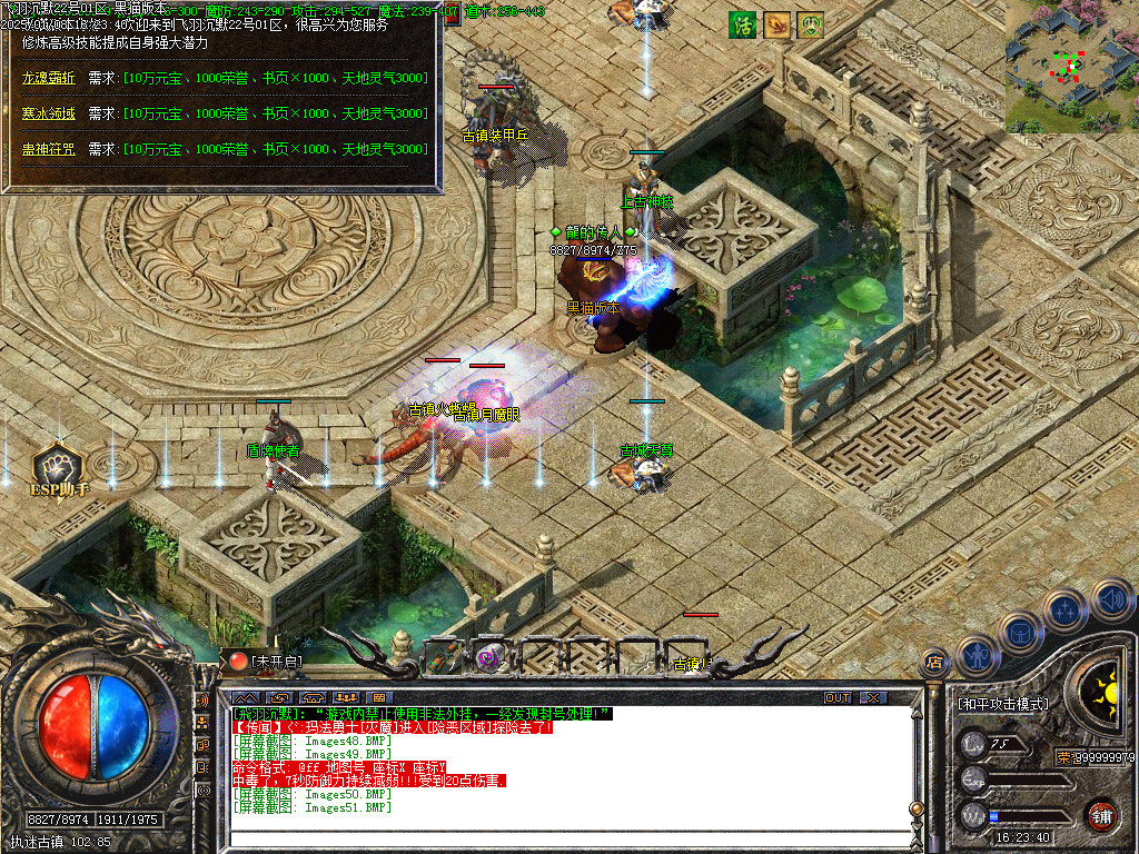 Images52.BMP