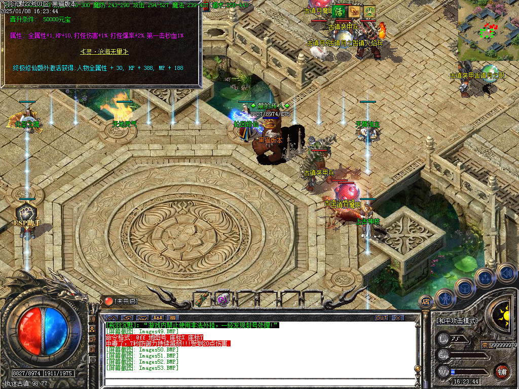 Images54.BMP