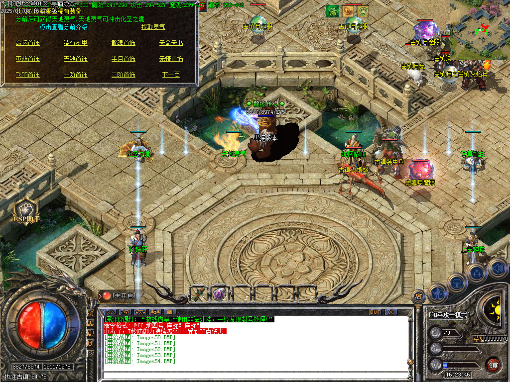 Images55.BMP