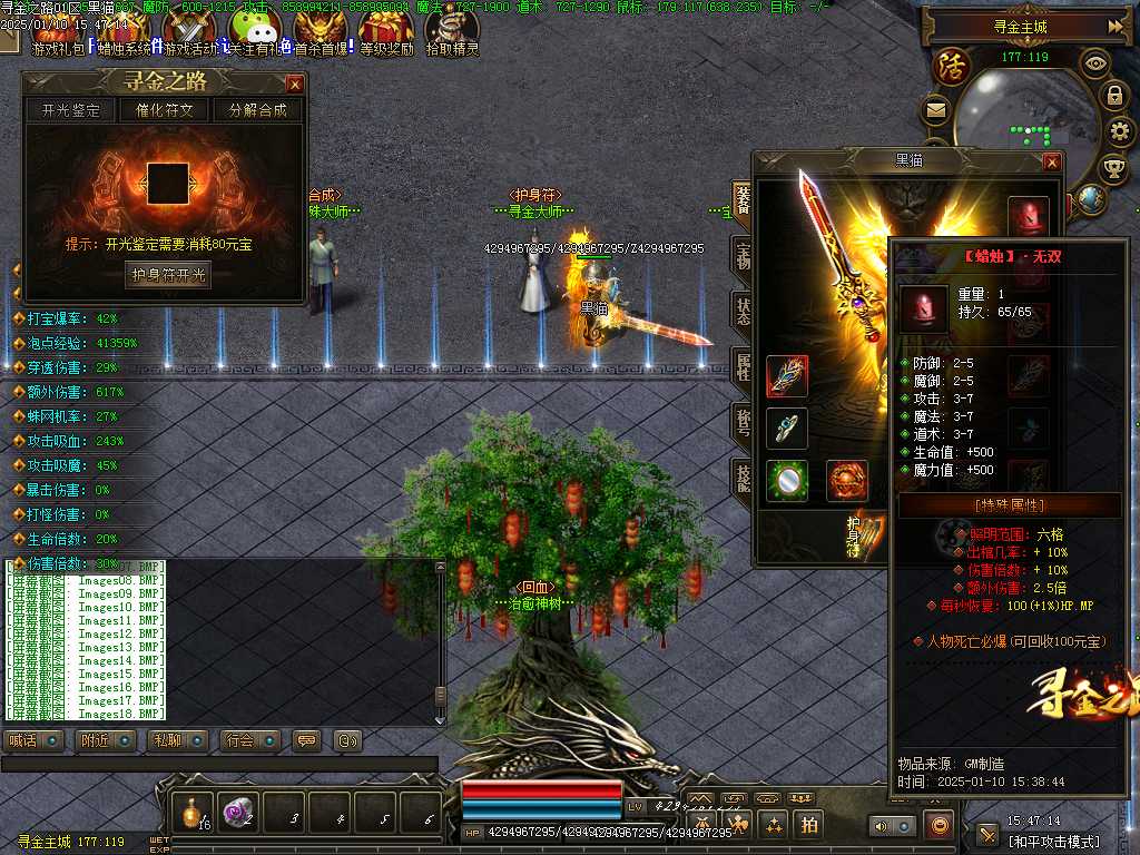 Images19.BMP