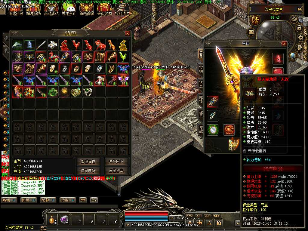Images43.BMP