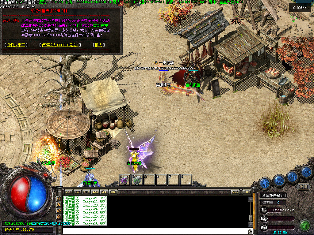 Images29.BMP