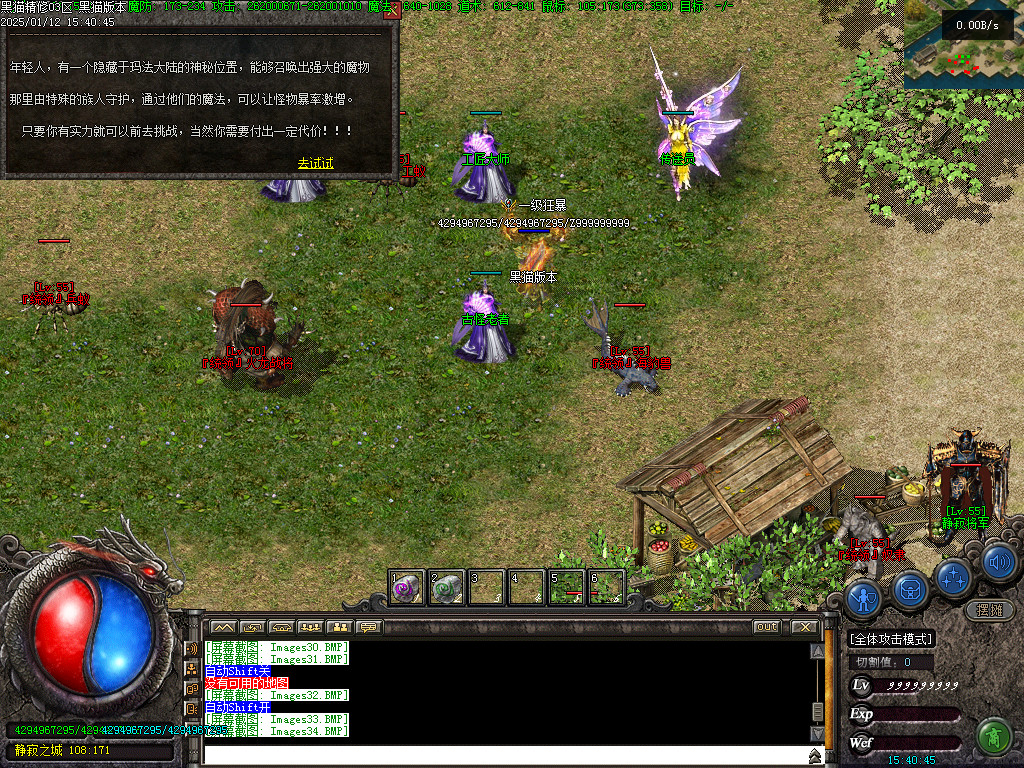 Images35.BMP