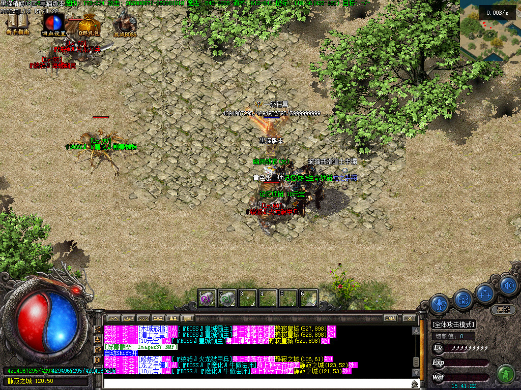 Images38.BMP