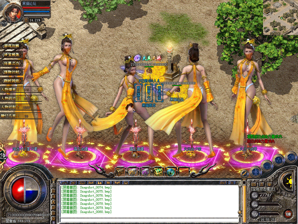 Snapshot_0081.bmp