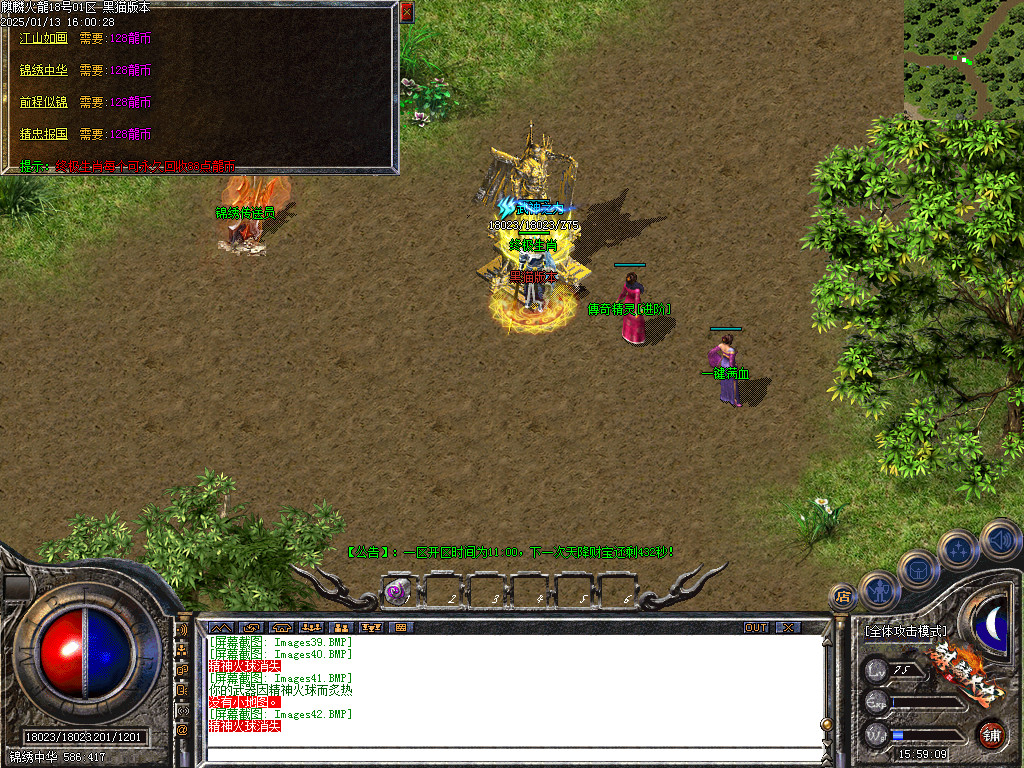 Images43.BMP