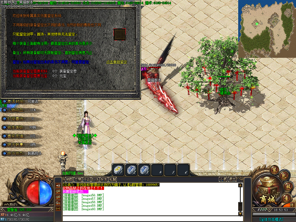 Images61.BMP