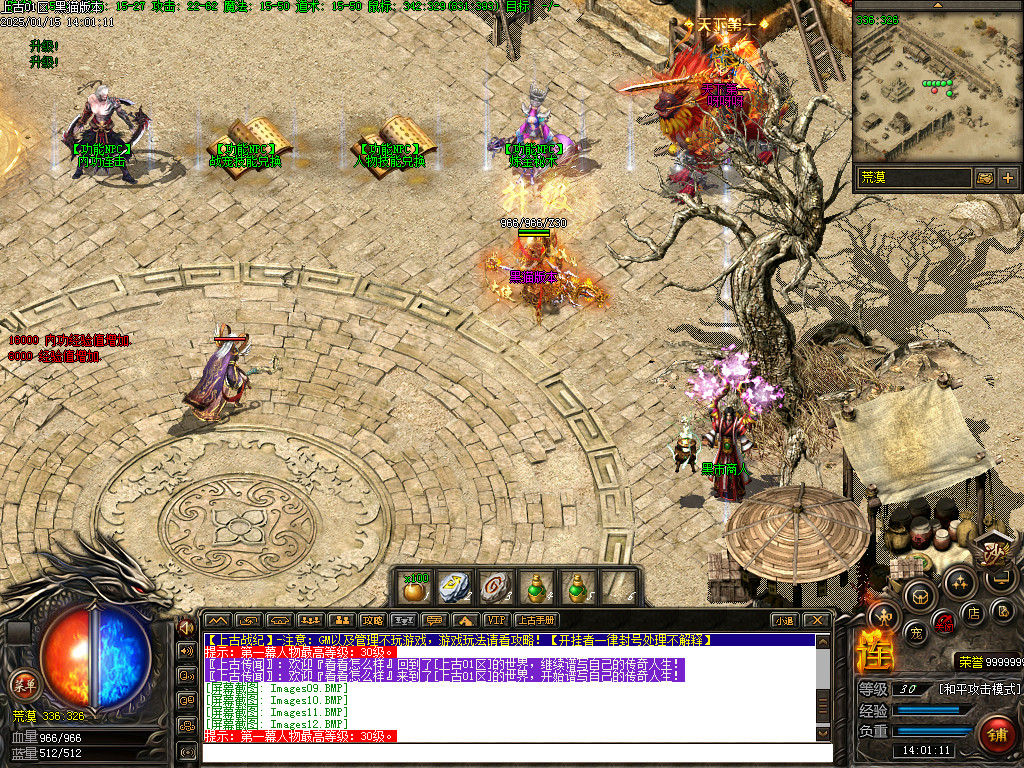 Images13.BMP